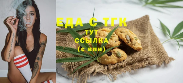 spice Богородск